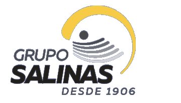 Grupo Salinas
